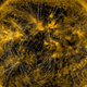 Imagen: NASA/SDO/AIA/LMSAL.